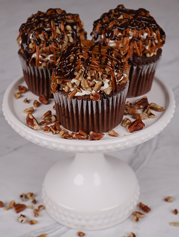 CC-000V Turtle Cupcake CC-000V Turtle Cupcake