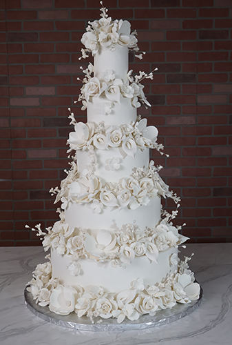 IMG_2738_grande.png?v=1735997966