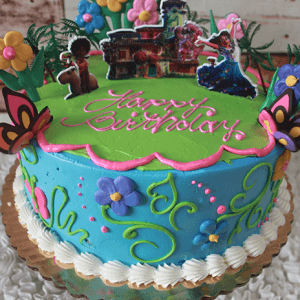 SC-011 Encanto: A round, colorful birthday cake with flowers, butterflies, Encanto characters, and "Happy Birthday" in pink icing on top.