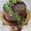 The BR-035 Succulents is a chocolate birthday cake decorated with green buttercream succulents and "Happy Birthday Amanda" written in blue icing, presented on a gold board and ornate stand.