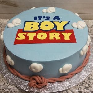 The BB-064 is a round cake with light blue icing, white cloud decorations, a brown rope border, and "ITS A BOY STORY" in bold Toy Story-style letters.