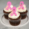 Chocolate cupcakes for breast awareness month